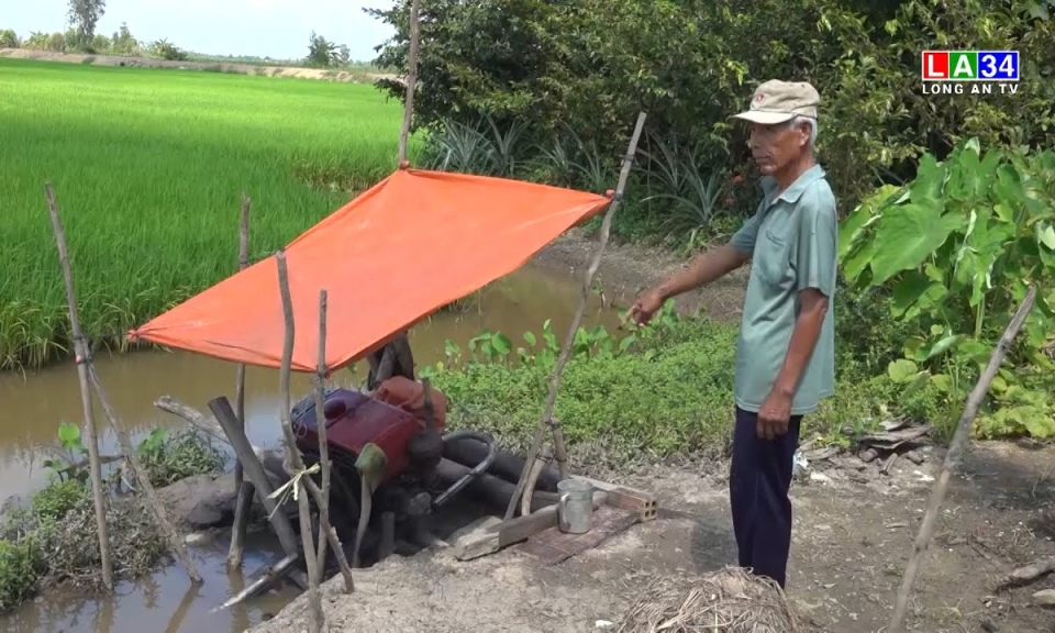 Tân Hưng: Nông dân bơm rút nước bảo vệ lúa Đông Xuân 2022-2023