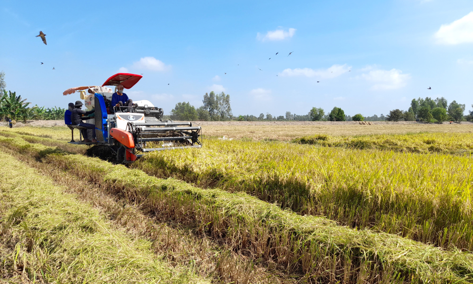 Tân Thạnh tổng kết sản xuất nông nghiệp năm 2022 và triển khai nhiệm vụ năm 2023