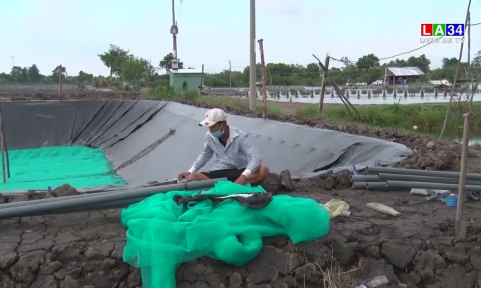 Long An tiếp tục chấn chỉnh việc nuôi tôm thẻ chân trắng ở vùng Đồng Tháp Mười