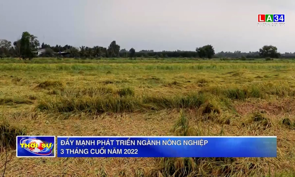 Đẩy mạnh phát triển ngành nông nghiệp 3 tháng cuối năm 2022