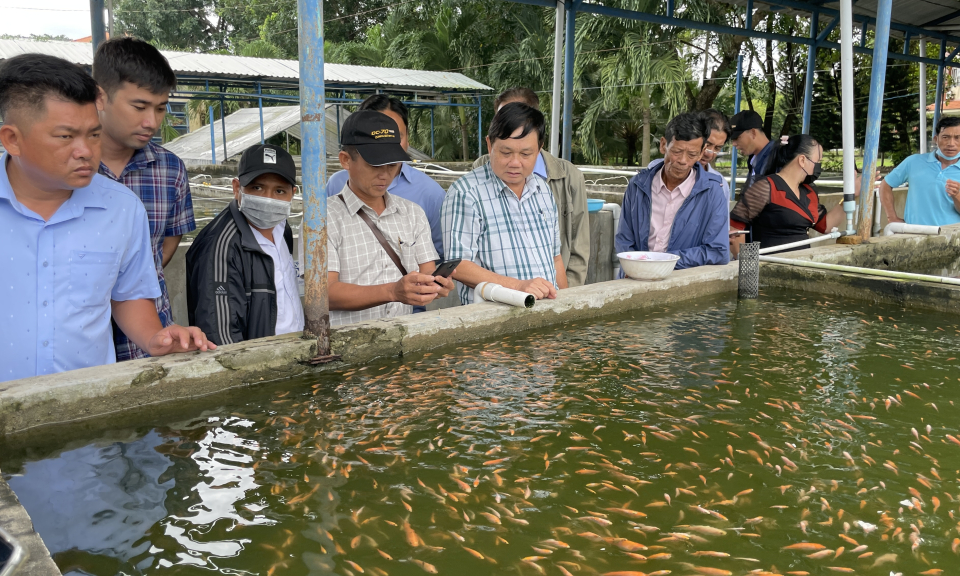 Tân Hưng: Nông dân tham quan Trung tâm Quốc gia giống thủy sản nước ngọt Nam Bộ