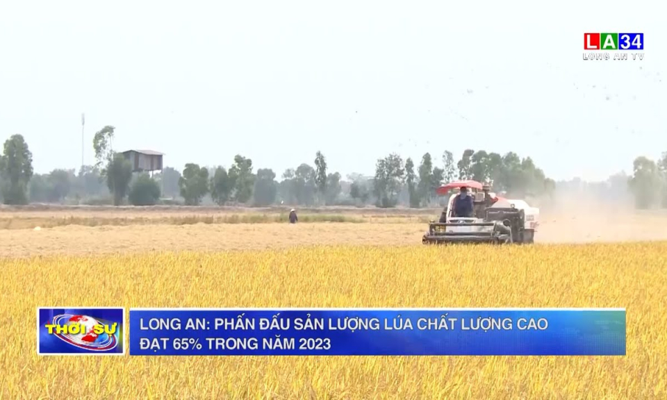 Long An: Phấn đấu sản lượng lúa chất lượng cao đạt 65% trong năm 2023