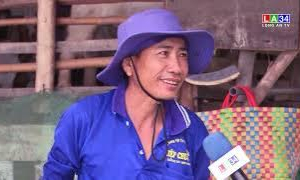 Phát triển mô hình chăn nuôi trên diện tích đất giới hạn