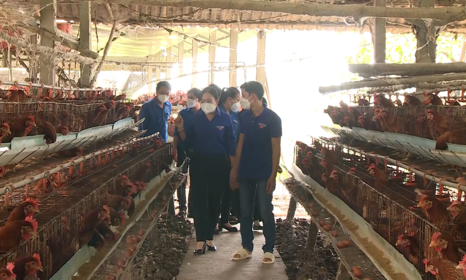 Giá trị làm lợi từ các sáng kiến, giải pháp sáng tạo của thanh niên hơn 12 tỷ đồng