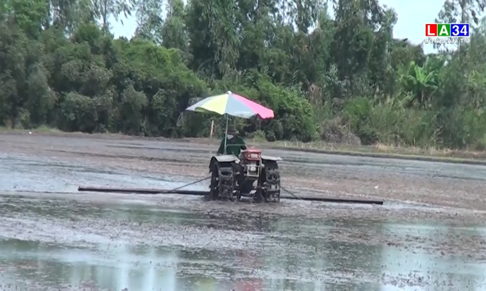 Tân Hưng: Lũ rút, nông dân cần chủ động sản xuất vụ lúa Đông Xuân