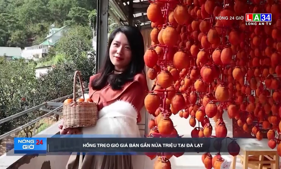 Hồng treo gió giá bán gần nửa triệu tại Đà Lạt