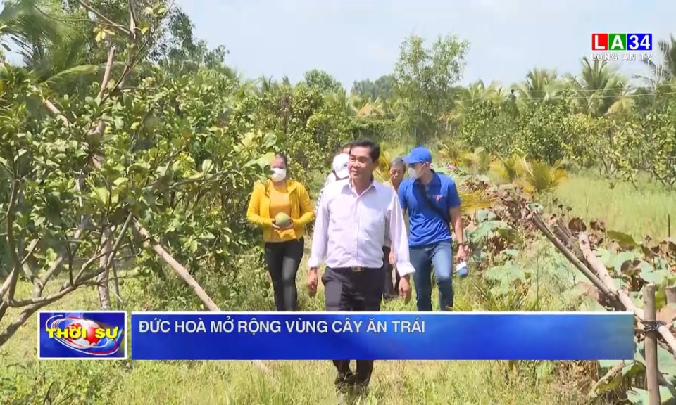 Đức Hoà mở rộng vùng cây ăn trái