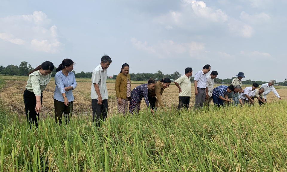 Tổng kết lớp tập huấn chương trình quản lý dịch hại cho nông dân huyện Đức Hòa