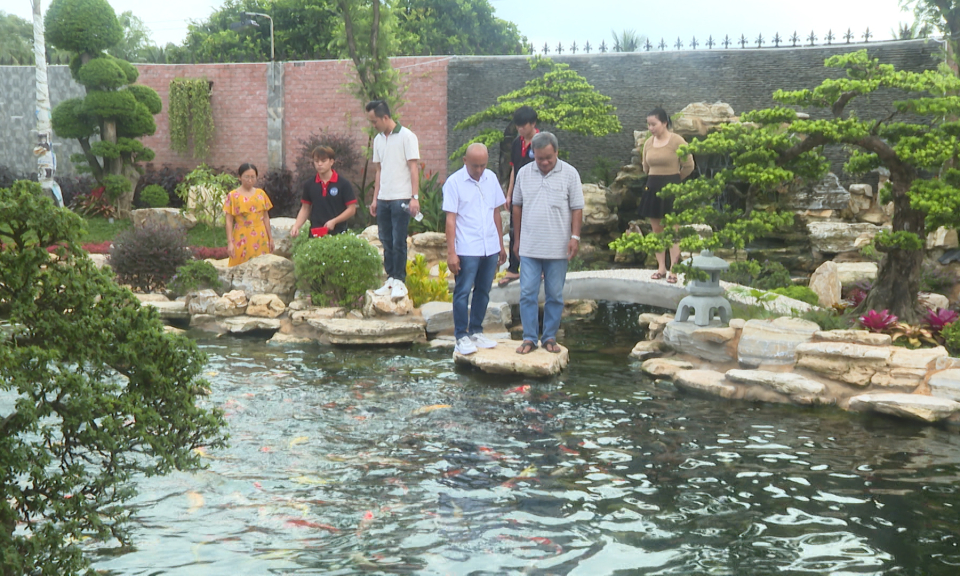 Độc đáo mô hình nuôi cá Koi Nhật Bản – Kachi Koi Farm tại thành phố Tân An