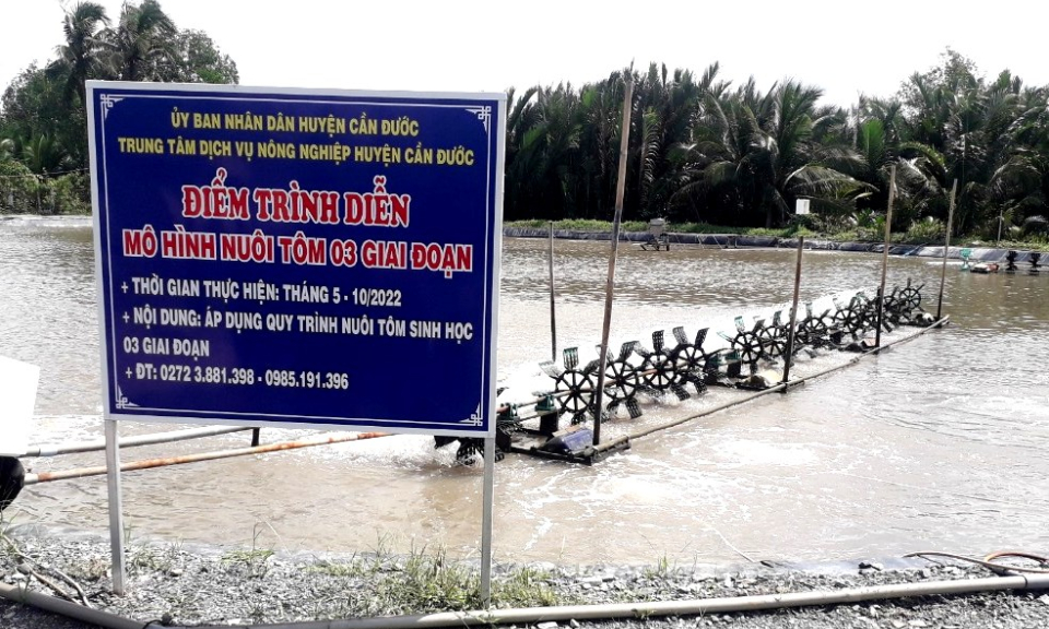 Cần Đước tổ chức Hội thảo đánh giá kết quả mô hình nuôi tôm ứng dụng công nghệ cao