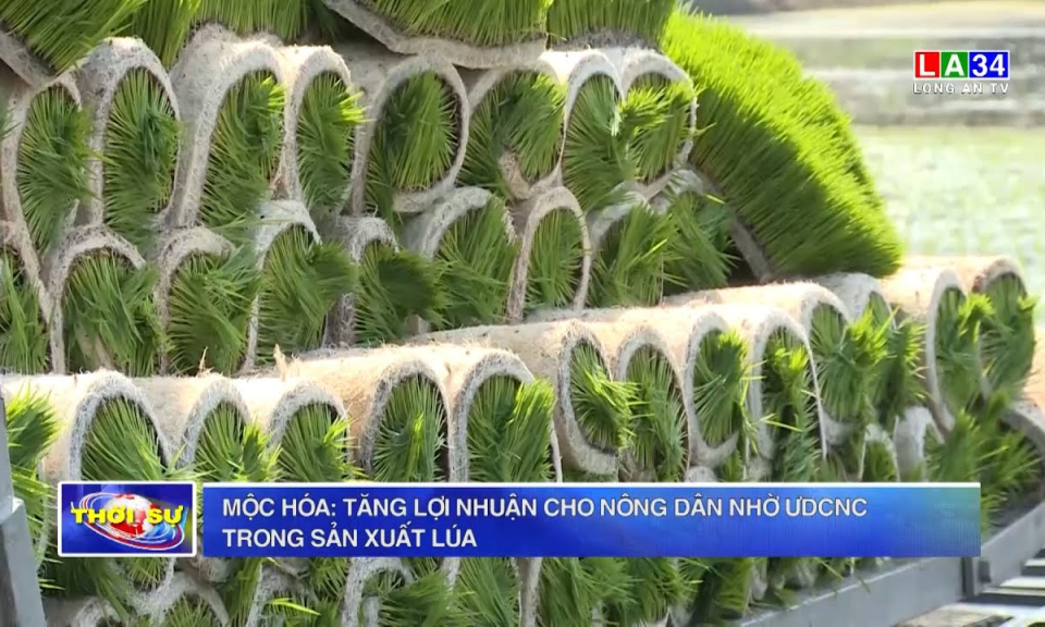 Mộc Hóa: Tăng lợi nhuận cho nông dân nhờ ƯDCNC trong sản xuất lúa