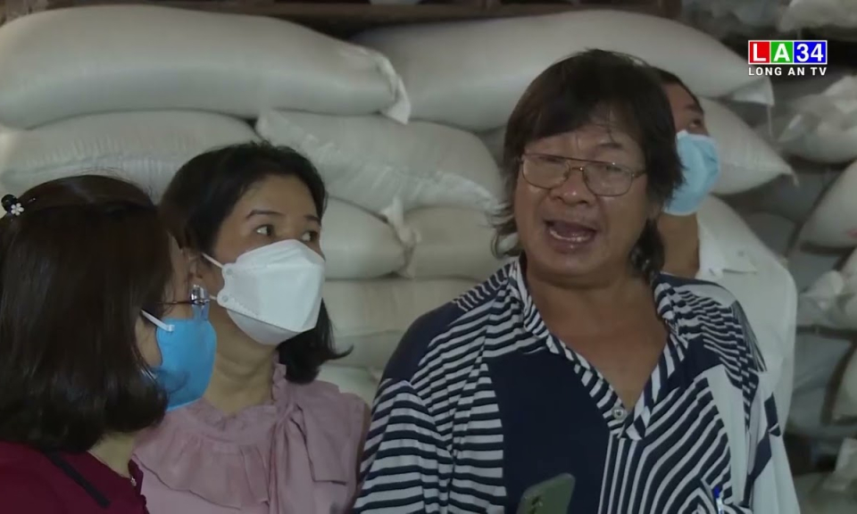 Đầu tư máy tách màu trong sản xuất, chế biến gạo