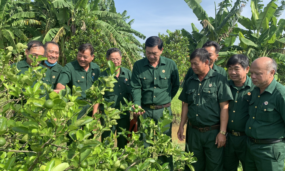 Bến Lức sơ kết mô hình Câu lạc bộ Cựu chiến binh - Cựu quân nhân làm kinh tế