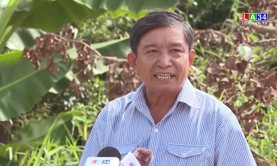 Tân Thạnh - Nỗi lo sạt lở ven kênh Dương Văn Dương