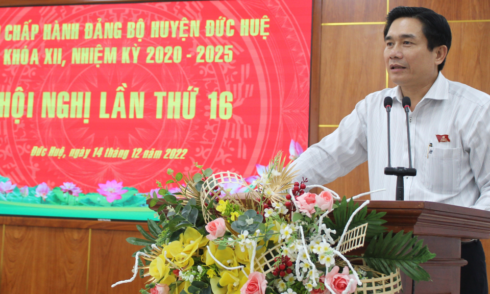 Hội nghị Huyện ủy Đức Huệ lần thứ 16