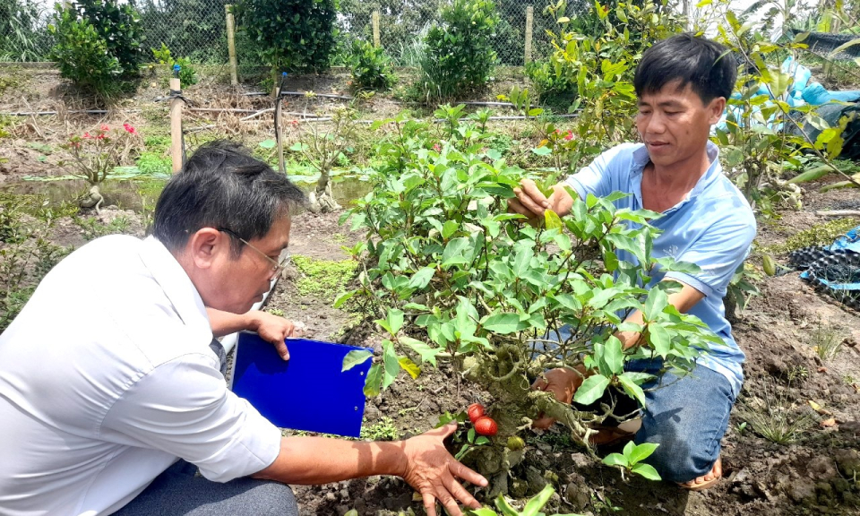 Tân Thạnh sản xuất, kinh doanh giỏi gắn với xây dựng Nông thôn mới