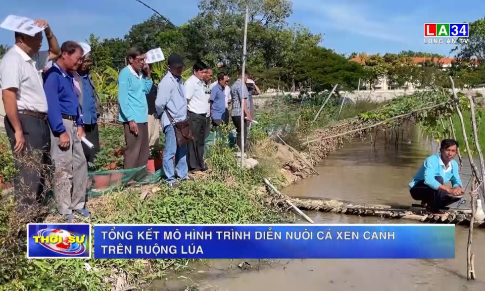 Tổng kết mô hình trình diễn nuôi cá xen canh trên ruộng lúa