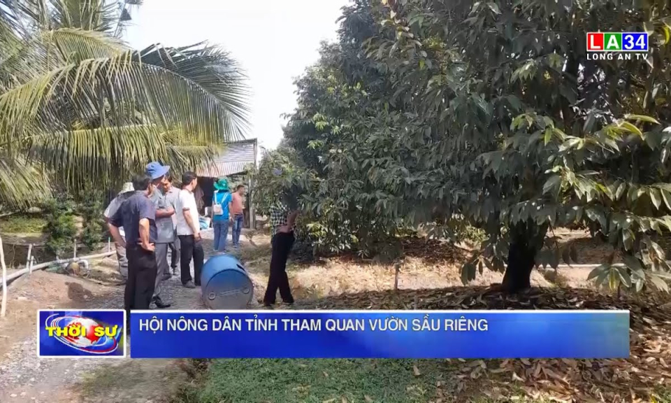Hội Nông dân tỉnh tham quan vườn sầu riêng