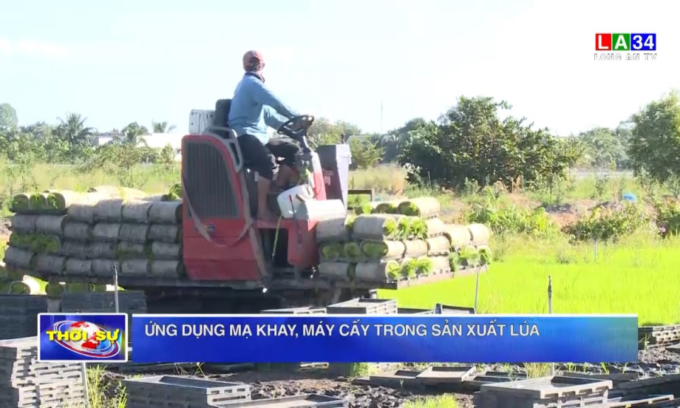Ứng dụng mạ khay, máy cấy trong sản xuất lúa
