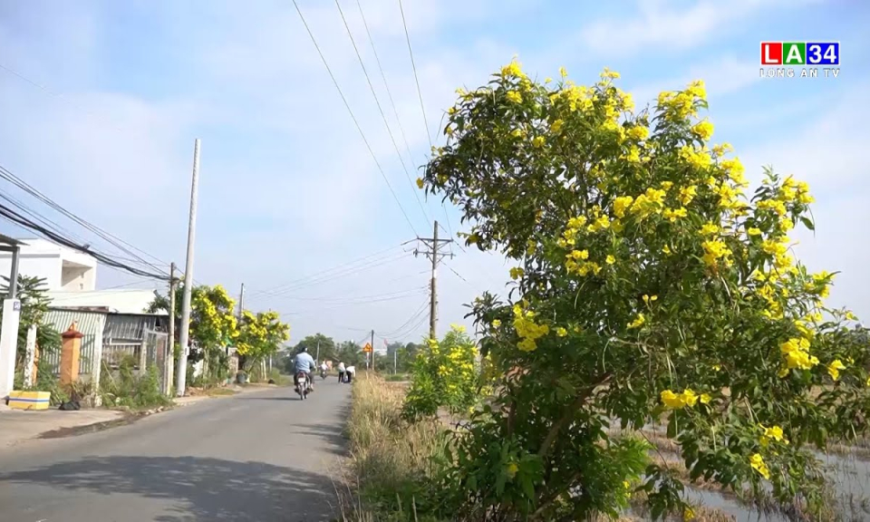 Làm đẹp đường phố đón mừng năm mới