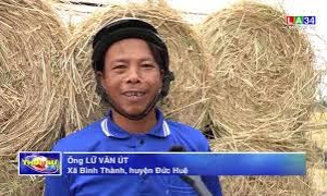 Kiếm tiền từ...rơm