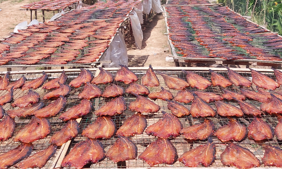 Tân Hưng cung ứng hàng chục tấn khô cá phục vụ thị trường Tết