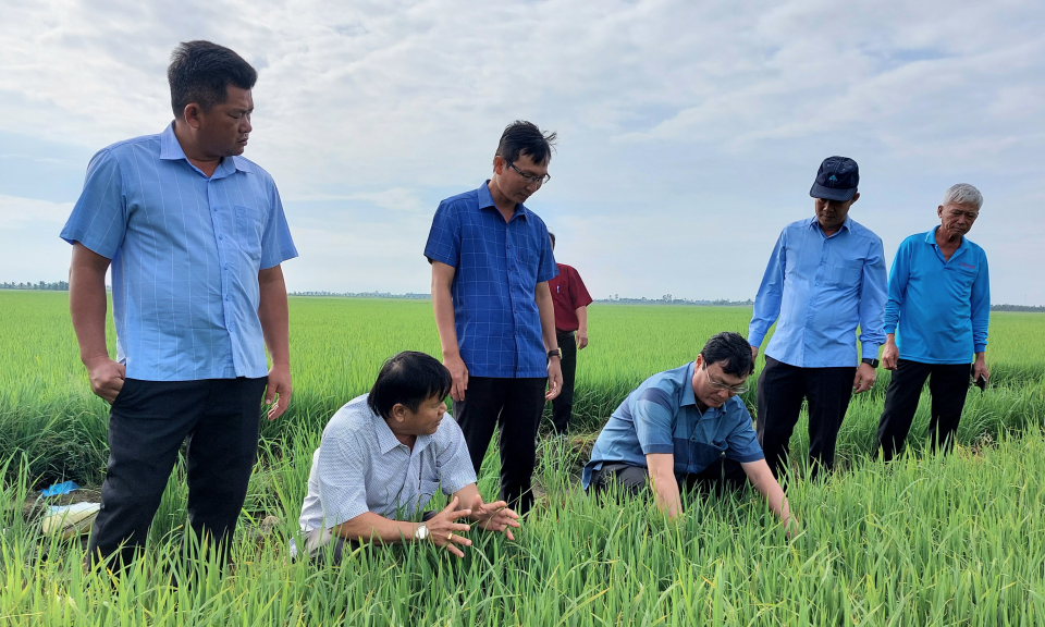 Bí thư Huyện ủy Tân Hưng thăm đồng trước thềm năm mới xuân Quý Mão 2023