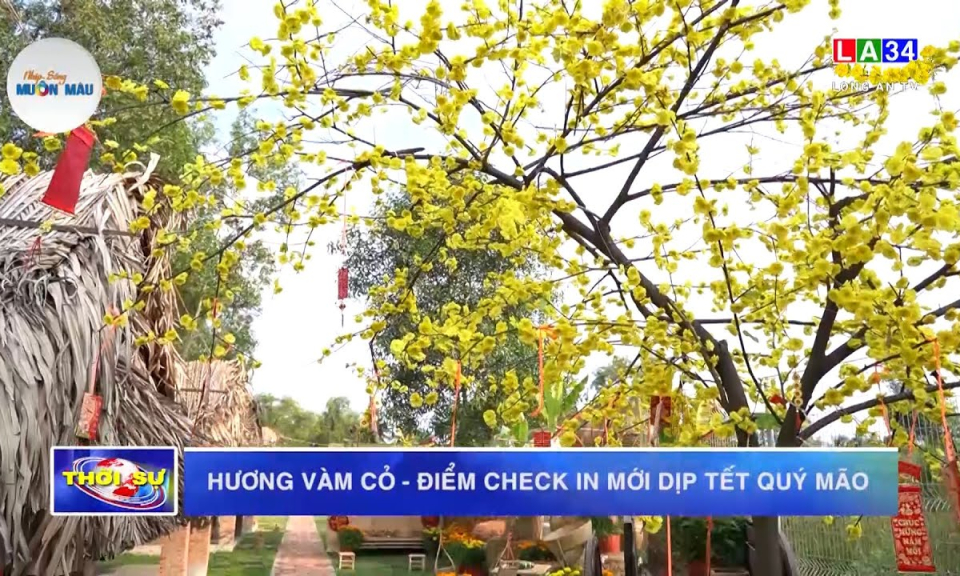 Hương Vàm Cỏ - Điểm check-in mới dịp Tết Quý Mão 