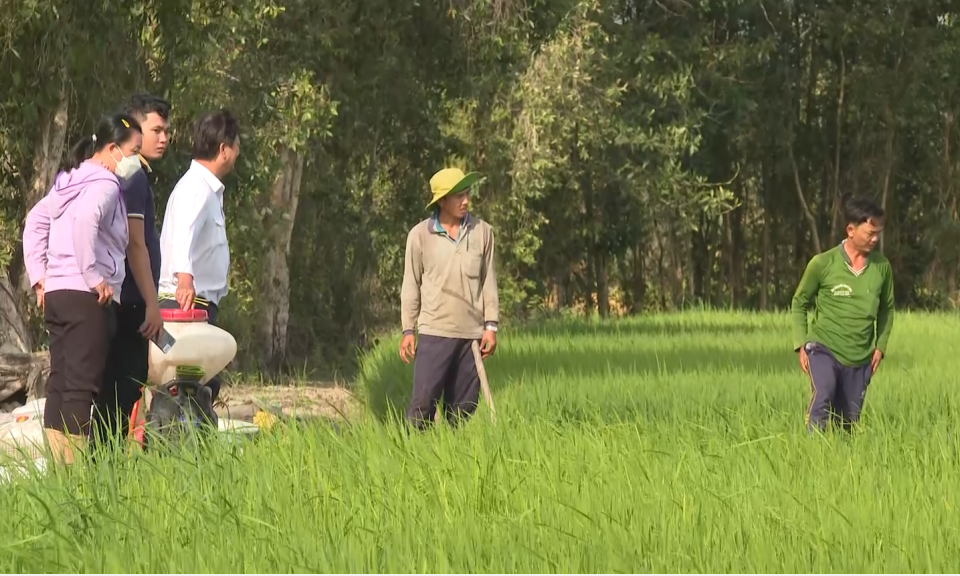 Sở Nông nghiệp và Phát triển nông thôn tỉnh Long An thăm đồng đầu năm mới