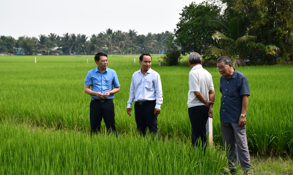 Lãnh đạo huyện Đức Hòa kiểm tra tình hình sản xuất nông nghiệp sau Tết