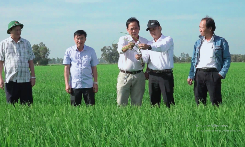 Tân Hưng: Lãnh đạo huyện kiểm tra tình sản xuất lúa vụ đông xuân 2022 – 2023
