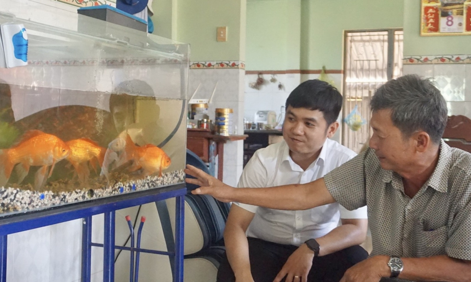 Bến Lức hiệu quả kinh tế từ mô hình nuôi cá Koi