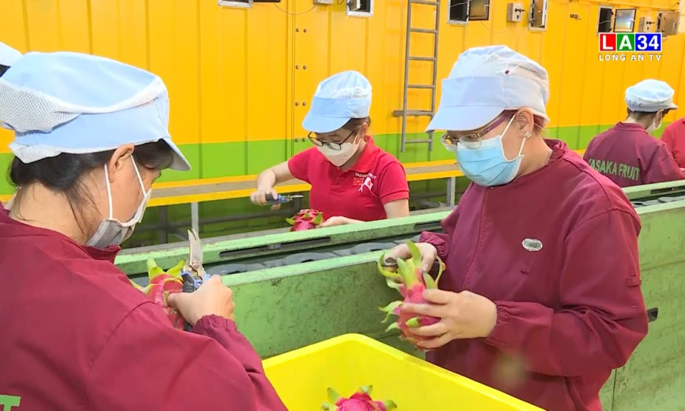 Hài hòa lợi ích để giữ thương hiệu trái cây Việt