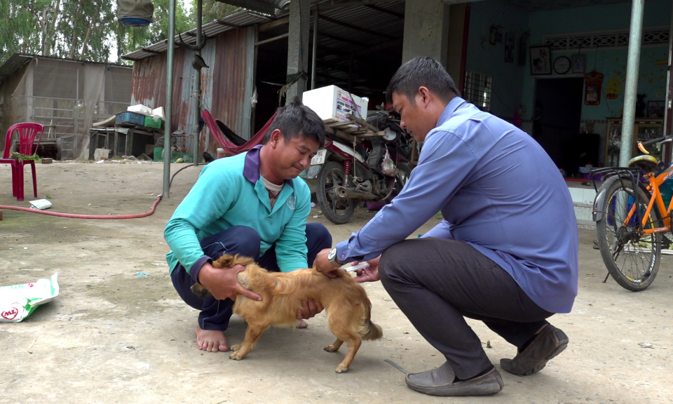 Tân Hưng tiêm vắc xin phòng bệnh dại cho chó, mèo