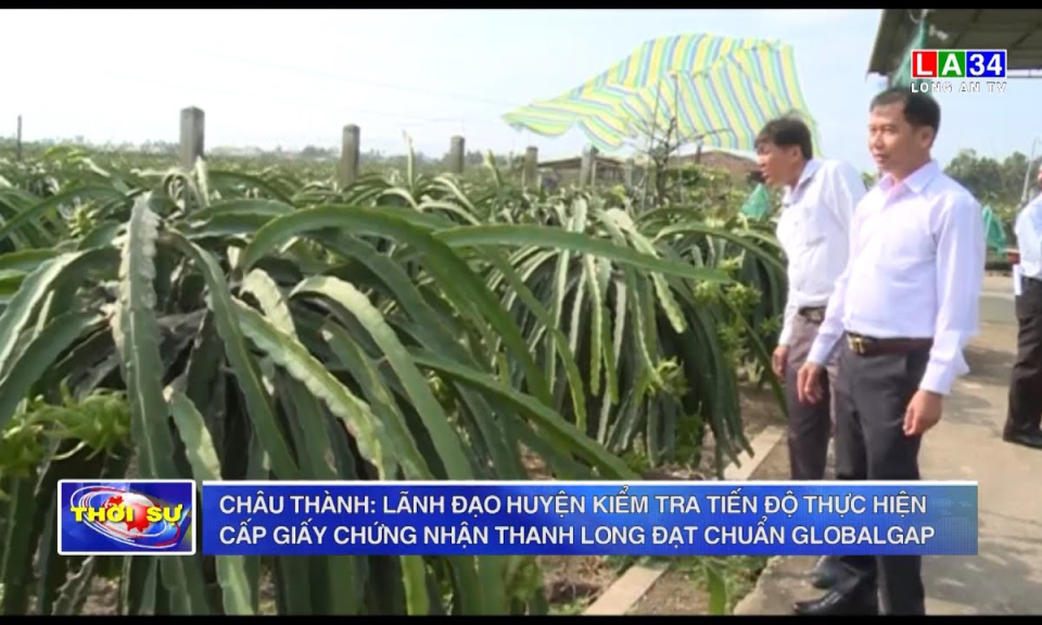 Châu Thành: Kiểm tra tiến độ thực hiện cấp giấy chứng nhận thanh long đạt chuẩn GlobalGAP