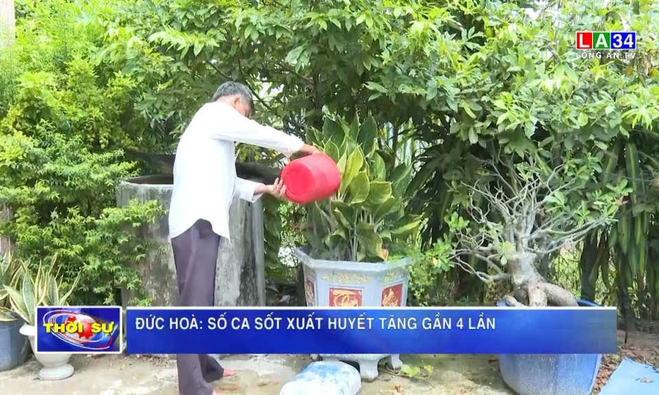 Đức Hoà: Số ca sốt xuất huyết tăng gần 4 lần