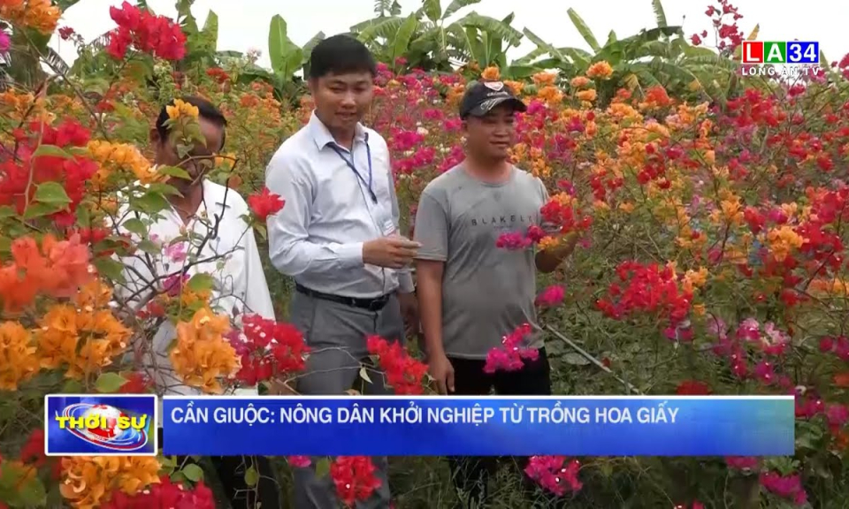Cần Giuộc: Nông dân khởi nghiệp từ trồng hoa giấy