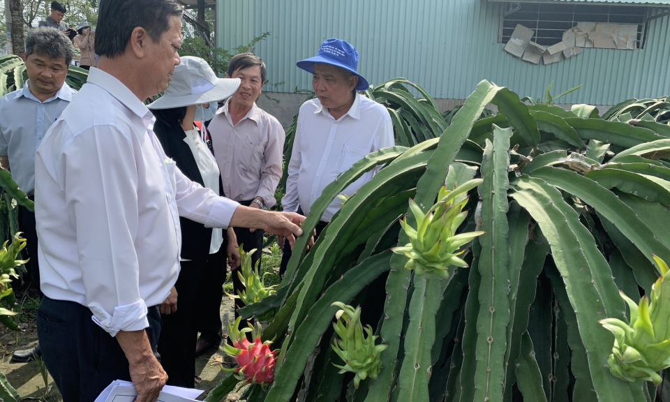 Châu Thành sơ kết phát triển nông nghiệp ứng dụng công nghệ cao