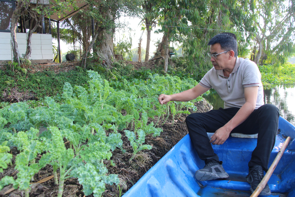 Quảng Bình phát triển mô hình trồng rau hữu cơ  Kinh nghiệm làm ăn  Báo  ảnh Dân tộc và Miền núi