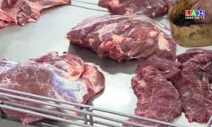 Sở NN&PTNT tỉnh Long An kiểm tra các cơ sở giết mổ