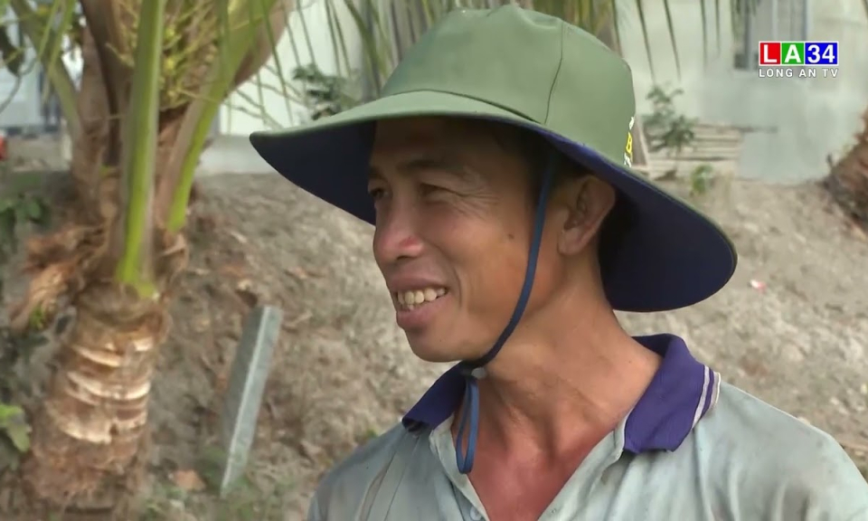Lúa Hè Thu, sản xuất đúng thời vụ để phòng ngừa dịch hại