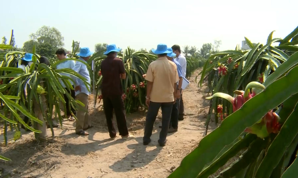 Hơn 87% lao động nông thôn có việc làm sau khi học nghề