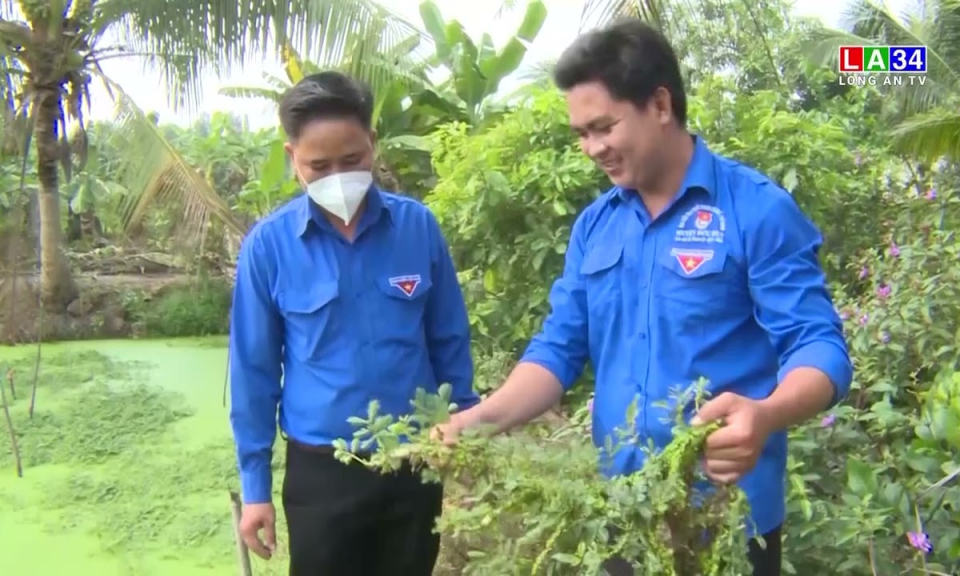 Triển khai thực hiện chương trình '' Hỗ trợ thanh niên khởi nghiệp '' giai đoạn 2022-2030