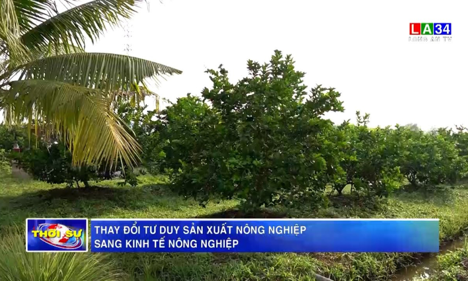 Thay đổi tư duy sản xuất nông nghiệp sang kinh tế nông nghiệp