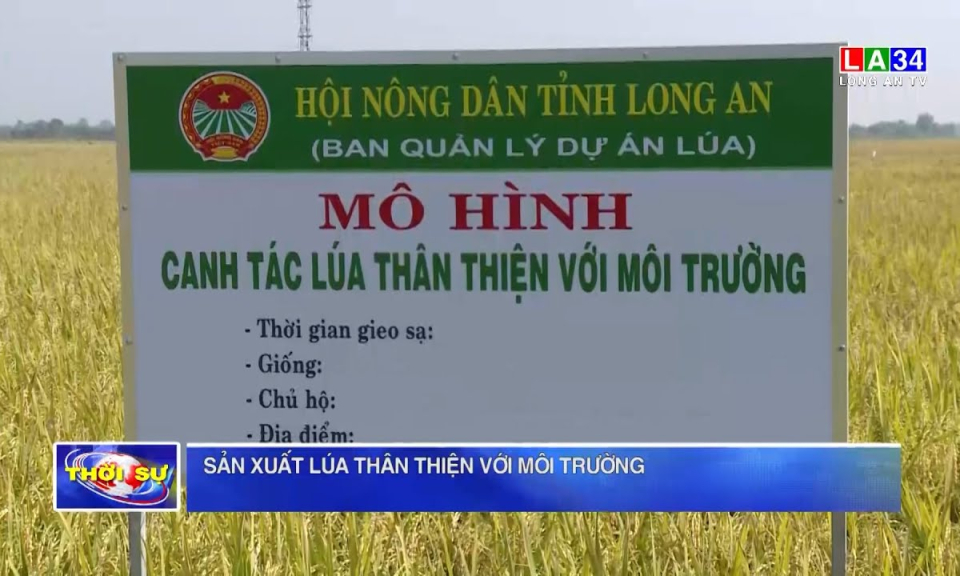 Sản xuất lúa thân thiện với môi trường