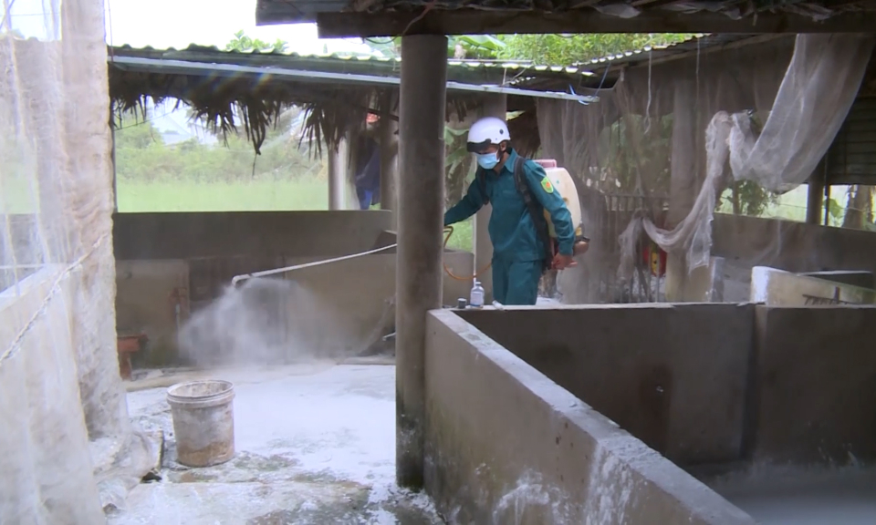 Thực hiện tháng tổng vệ sinh, khử trùng, tiêu độc môi trường đợt 1 năm 2023