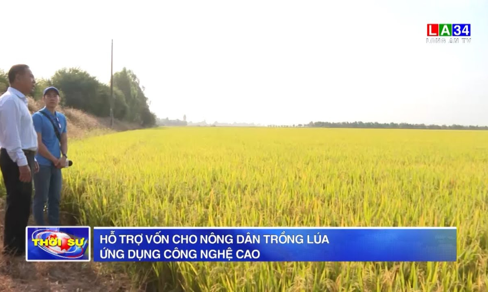 Hỗ trợ vốn cho nông dân trồng lúa ứng dụng công nghệ cao
