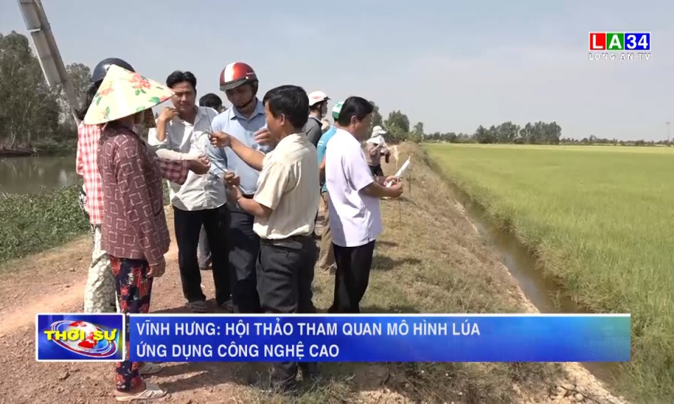 Vĩnh Hưng: Hội thảo tham quan mô hình lúa ứng dụng công nghệ cao