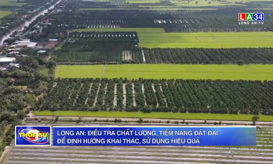 Long An: Điều tra chất lượng, tiềm năng đất đai để định hướng khai thác, sử dụng hiệu quả