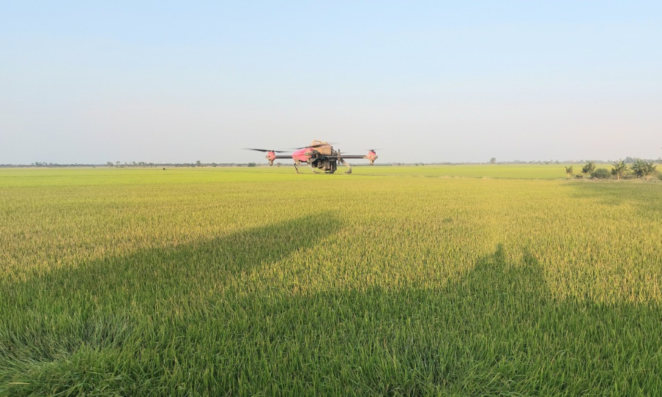 Tân Hưng tập huấn mô hình duy trì phát triển nông nghiệp ứng dụng công nghệ cao năm 2023
